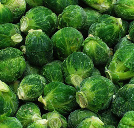 Cabbage Brussels