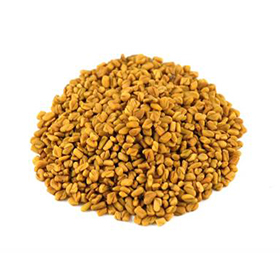 Fenugreek