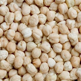 Chickpea