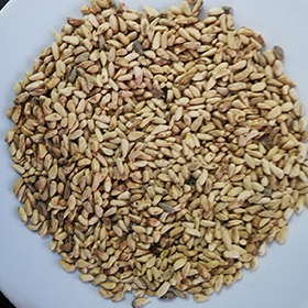 Pomagranate Seeds - Granatum