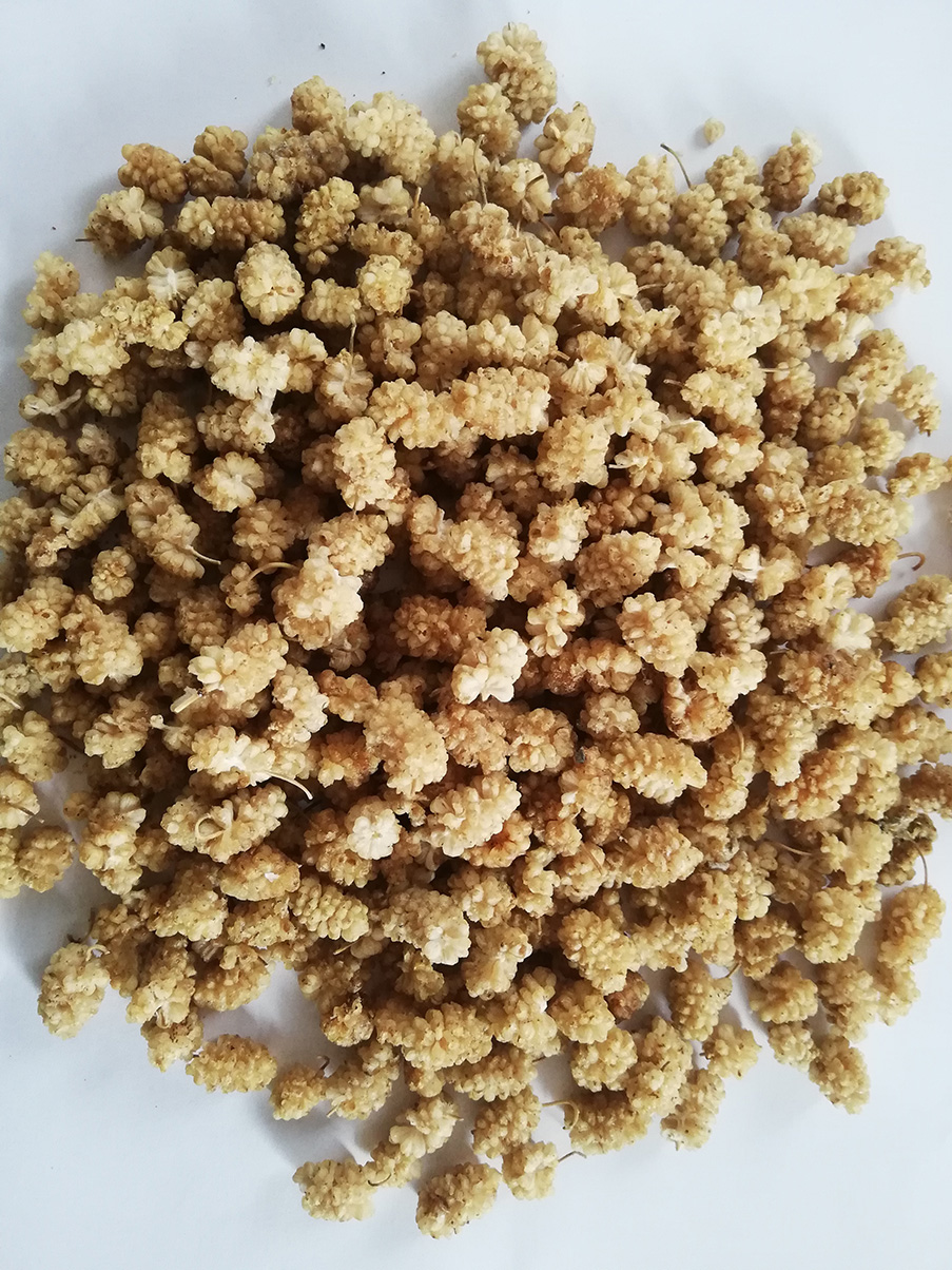 Dry Mulberry